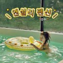 경주펜션키즈풀빌라앤셜리 | [경북 경주] 앤셜리펜션 c동 애견동반 가능한 키즈풀빌라 숙박 후기