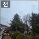 은행나무빌라 | 경기도 광주 벌목업체 빌라화단 나무가지 전지