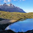 태양팜스 이미지