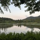 마이리틀펫 이미지