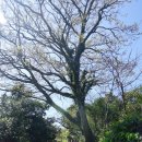 덕판배미술관 이미지