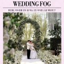 희망의 꽃밭에서 | [공지] 〔웨딩포그〕 신도림 더링크 베일리홀 가성비 2인 작가 아이폰 스냅 후기(내돈내산)