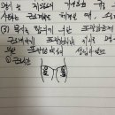 미스펌킨 | 발레복 후기, 추천(레오타드 모음_보우낸져, 타이파, 비비프로젝트, 유라발레)