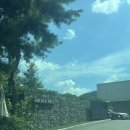 리버트리 | 가평가볼만한곳 진짜 힐링 제대로! 북한강 리버뷰 카페 골든트리 후기 (애견동반가능)