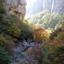 (주)푸른솔 이미지