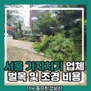 서울 가지치기 업체 벌목 및 조경 비용