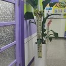 현대영어교습소