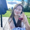 범석농장2 | 늦여름 몬트리올, 퀘백 여행기✨(2) 몬트리올에서 퀘백으로! 퀘백 근교 드라이브, 오를레앙섬, 베생뽈...