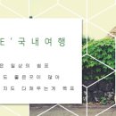 솔향기가득한집 이미지