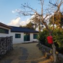 오소록 민박 이미지