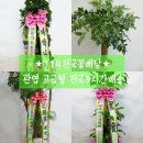 오이디주