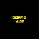 미미공주