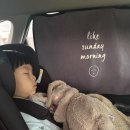 뜬금이네 민박 이미지