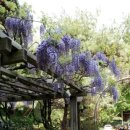 가든다방 이미지