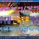 20240926 파주 삼방낚시터 대물향어/향어 입질, 챔질, 랜딩 인증샷 올립니다. 저녁낚시/짬낚시 이미지