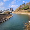 삼학도 요트마리나 인근 이미지