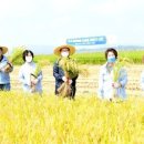 삼백신문