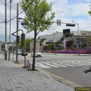 도스마스강대점 이미지