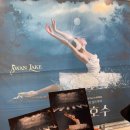 모스크바 국립발레단 내한공연-백조의 호수 | 모스크바 라 클라시크 발레단🩰 백조의 호수🦢 내한공연 관람 후기!!