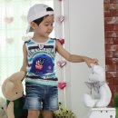 제이미 이미지