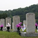 (주)유한메디켐 네이버블로그