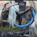 영가로(동부동) 이미지