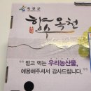 아빠청포도