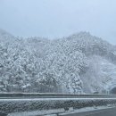 오복실내포차 | [ 양양 강릉 여행 1 ] 양양 전라도 식당/ 바다뷰제빵소/ 더앤리조트/ 어촌마을포차