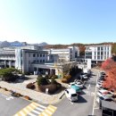 늘푸른건강마을 이미지