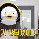 복땡이
