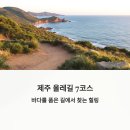 올레계절맛집 | 서귀포 바다를 품은 길, 제주 올레길 7코스 걷기 여행
