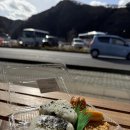 마도우체국 | 대마도 히타카츠 2박3일 자유일정 3일차, 아마세(AMASE) 환전 후기