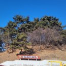 월악카센타 이미지