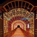 세종 합강캠핑장 이미지