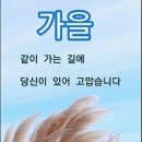 진성문화