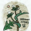 들꽃방