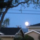 사람 그리고 새 이미지