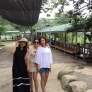 푸른산장민박 이미지