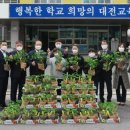 대전대흥초등학교 이미지