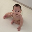 미소플러스약국 | 육아일기 : 349~356일차(행복한 김남편과의 5일)