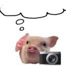 우리맑은의원 이미지