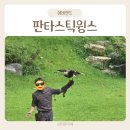 에버랜드 판타스틱윙스 독수리 공연 후기 공연 시간 관람 꿀팁