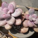 튀는아이들 이미지