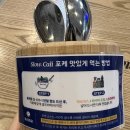 오늘 또 캘리 | 보라매공원 보라매병원 포케 맛집 슬로우캘리 내돈내산 후기