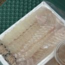 신일회수산 | 대천 횟집 신일수산32호ㅣ대천해수욕장 횟집 맛집 포장 만족 후기