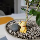 조개까는삼촌 이미지