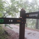 건수목장 이미지