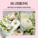 솔샘초등학교 | 원주 무실동꽃집 추천 | 감성 꽃다발 예쁜 바니앤플라워