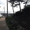 대평관광주