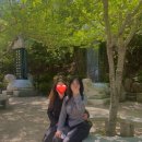 건거니집 | 우리의 부산.